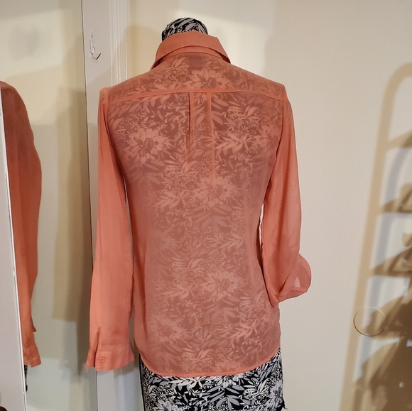 Button front chiffon long sleeves buttondown shirt sheer - Picture 5 of 6